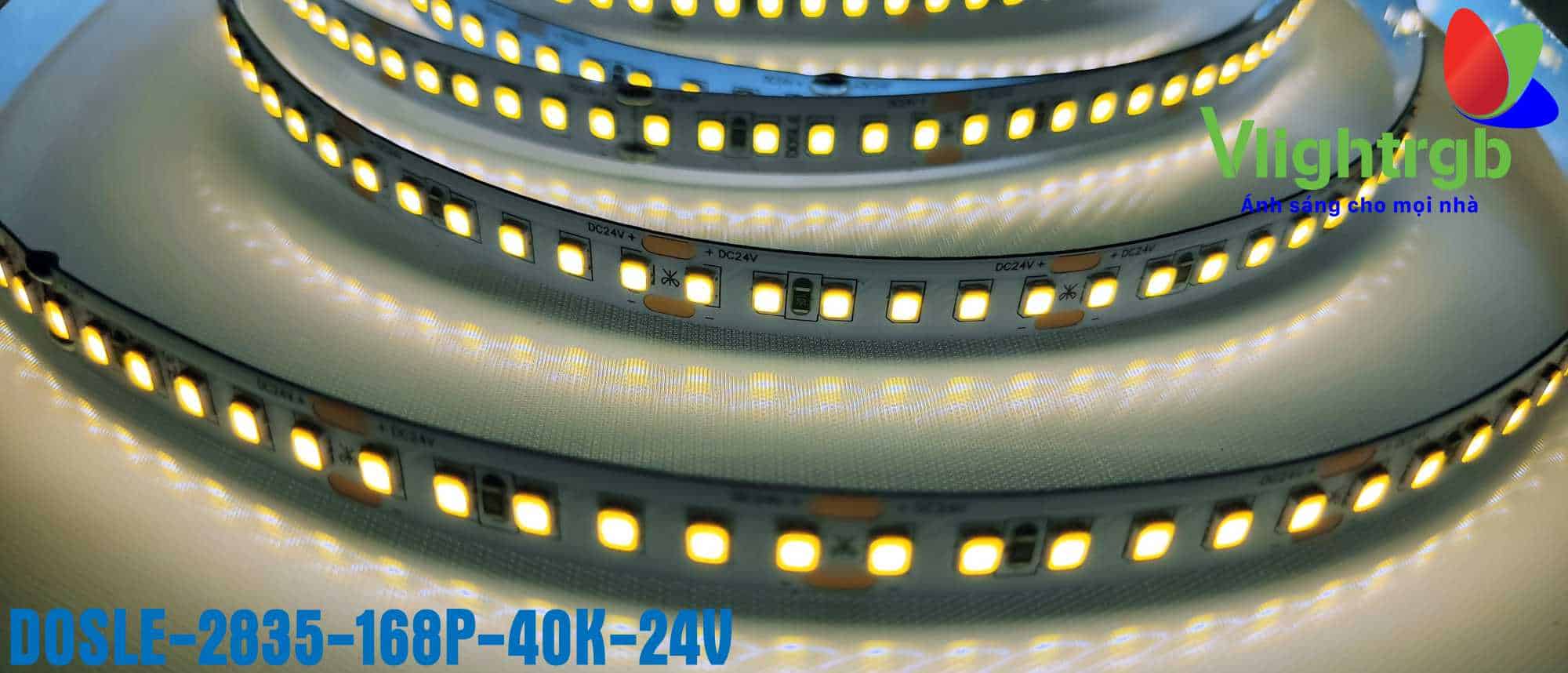 Đèn led dây dán Dosle 24V 168 led sáng trung tính 40K